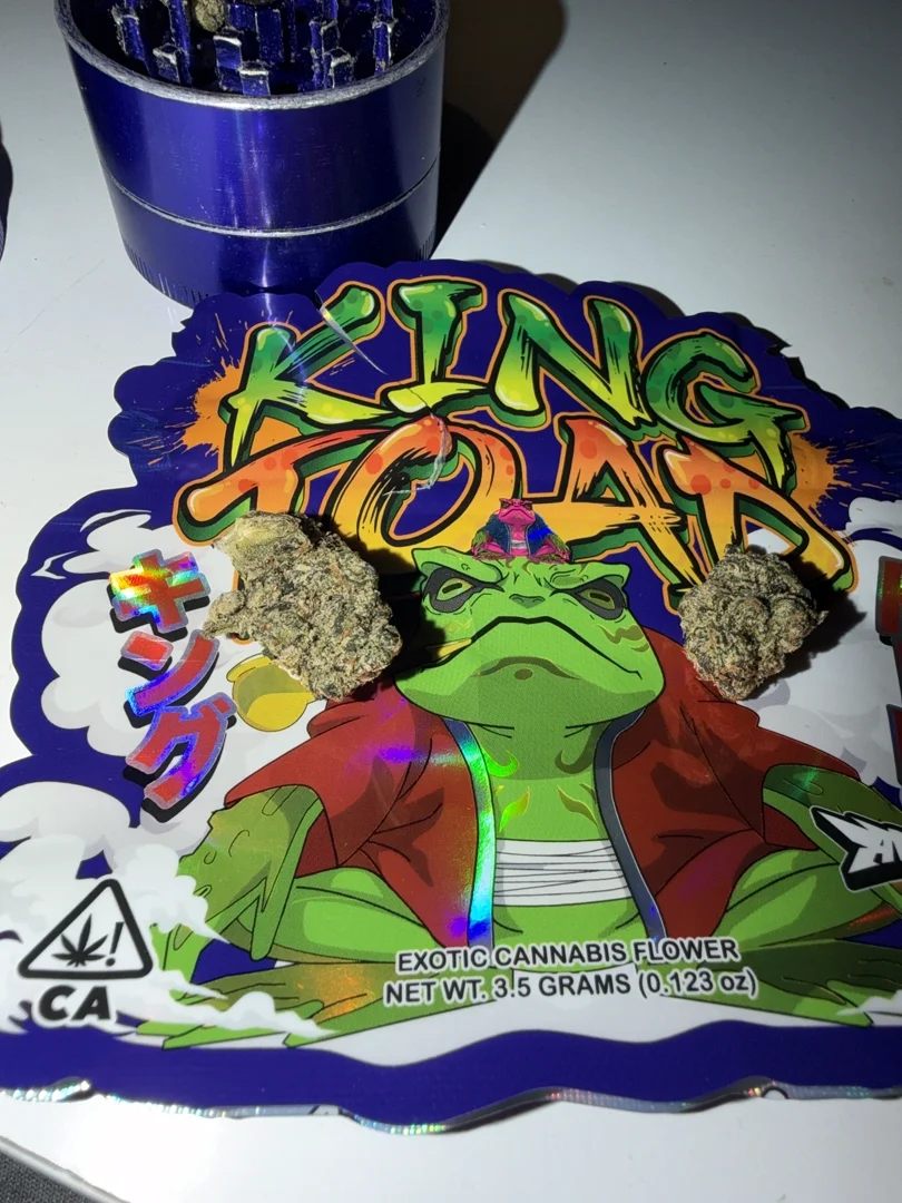 kingof90s review media 2